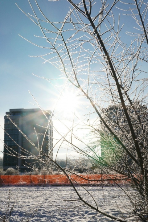 Зимний Саров - 12.jpg.jpg